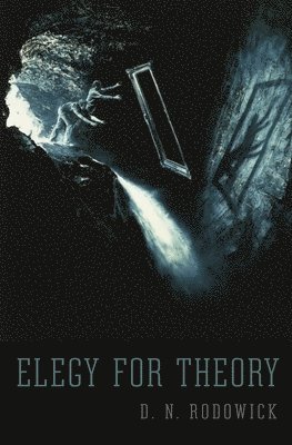 bokomslag Elegy for Theory