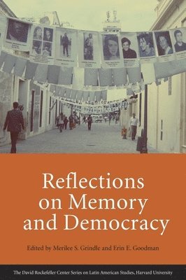 Merilee Grindle, Erin E. Goodman - Reflections on Memory and Democracy, Häftad