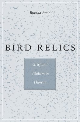 Branka Arsić - Bird Relics, Inbunden