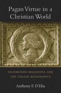bokomslag Pagan Virtue in a Christian World
