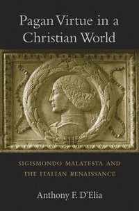 bokomslag Pagan Virtue in a Christian World