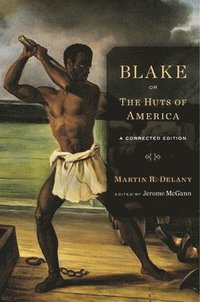bokomslag Blake; or, The Huts of America