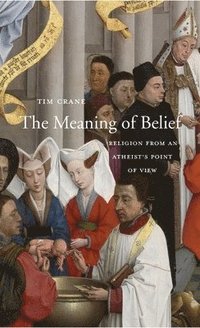 bokomslag The Meaning of Belief