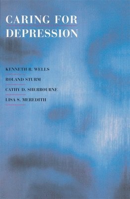 Kenneth B. Wells, Roland Sturm, Cathy D. Sherbourne, Lisa S. Meredith - Caring for Depression, Häftad