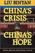 bokomslag China's Crisis, China's Hope