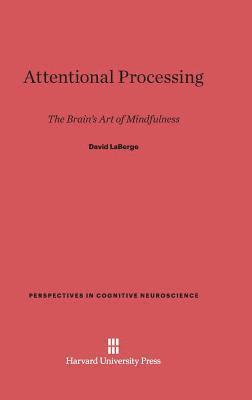 Attentional Processing 1