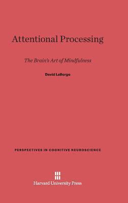 Attentional Processing