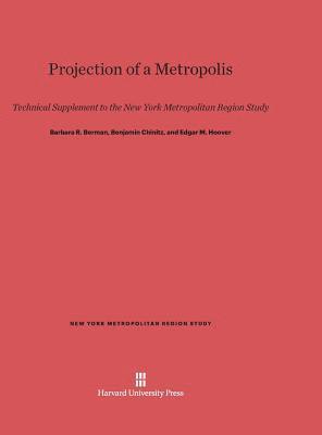 Projection of a Metropolis 1