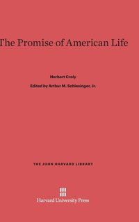 bokomslag The Promise of American Life