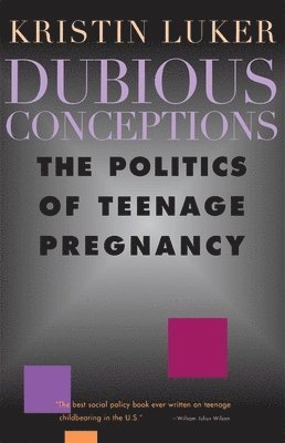Kristin Luker - Dubious Conceptions, Häftad