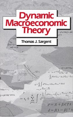 bokomslag Dynamic Macroeconomic Theory