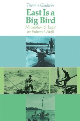 Thomas Gladwin - East Is a Big Bird, Häftad