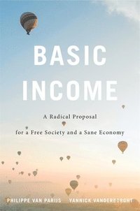 bokomslag Basic Income