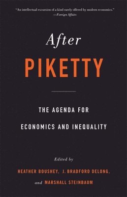 bokomslag After Piketty