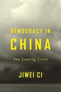 bokomslag Democracy in China
