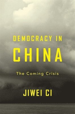 bokomslag Democracy in China