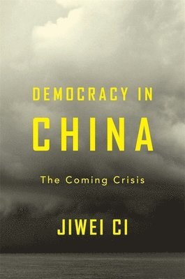 Democracy in China 1