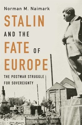 bokomslag Stalin and the Fate of Europe