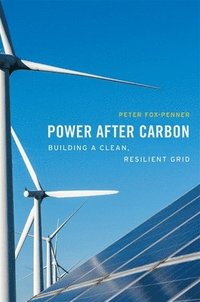 bokomslag Power after Carbon
