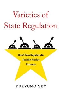 bokomslag Varieties of State Regulation