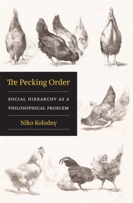 Niko Kolodny - Pecking Order, Inbunden
