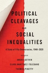 bokomslag Political Cleavages and Social Inequalities
