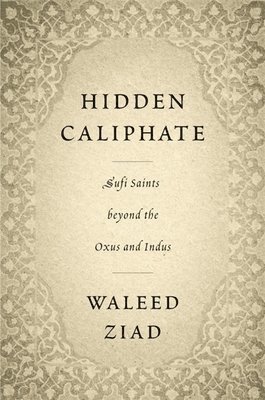 bokomslag Hidden Caliphate