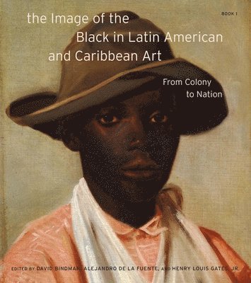 bokomslag The Image of the Black in Latin American and Caribbean Art: Book 1