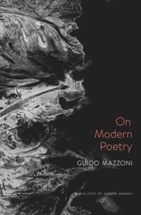 bokomslag On Modern Poetry