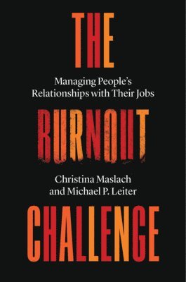 bokomslag The Burnout Challenge