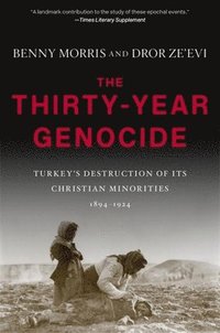 bokomslag The Thirty-Year Genocide