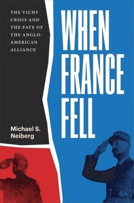 bokomslag When France Fell