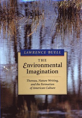bokomslag The Environmental Imagination