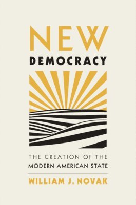 bokomslag New Democracy