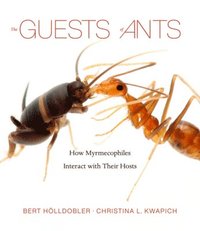bokomslag The Guests of Ants