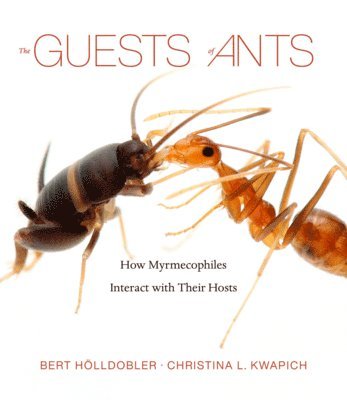 bokomslag Guests of Ants