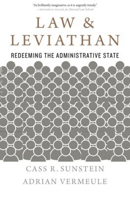 Law and Leviathan 1