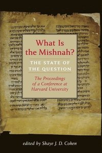 bokomslag What Is the Mishnah?