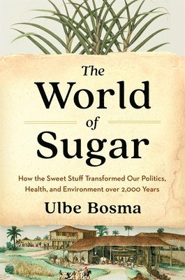 Ulbe Bosma - World of Sugar, Inbunden