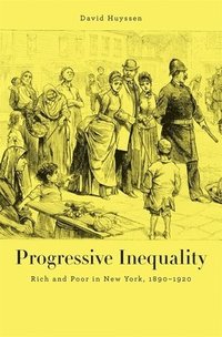bokomslag Progressive Inequality