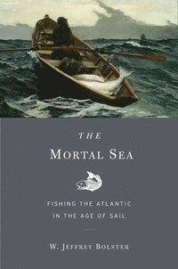 bokomslag The Mortal Sea