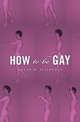 bokomslag How To Be Gay