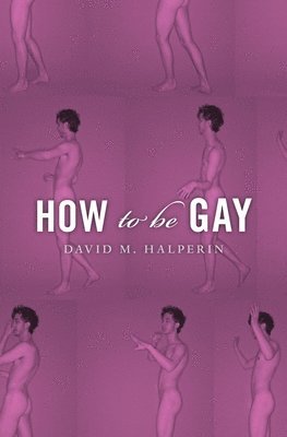 David M. Halperin, David M Halperin - How To Be Gay, Häftad
