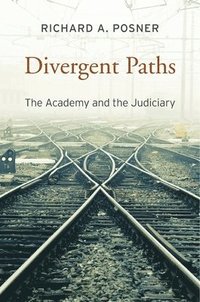 bokomslag Divergent Paths