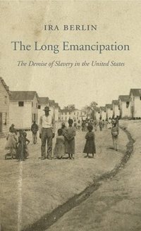 bokomslag The Long Emancipation