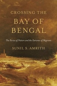 bokomslag Crossing the Bay of Bengal