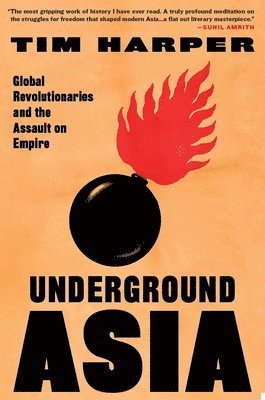 bokomslag Underground Asia: Global Revolutionaries and the Assault on Empire