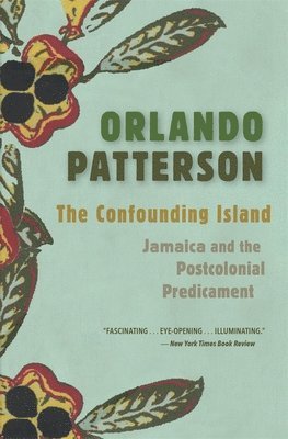 Orlando Patterson - Confounding Island, Häftad