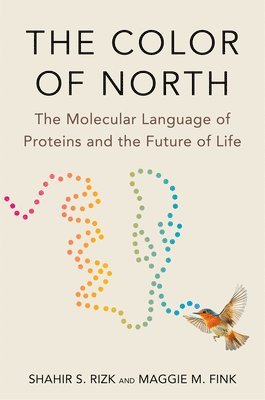 Shahir S. Rizk, Maggie M. Fink - Color of North, Inbunden