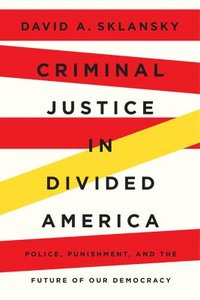 bokomslag Criminal Justice in Divided America